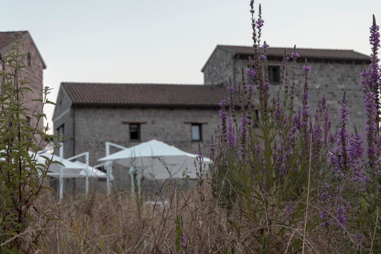 I Cacciagalli Wine Resort Teano Exterior foto