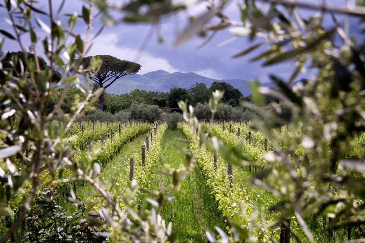 I Cacciagalli Wine Resort Teano Exterior foto